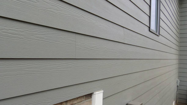 What Causes Siding to Fade and How to Fix it?